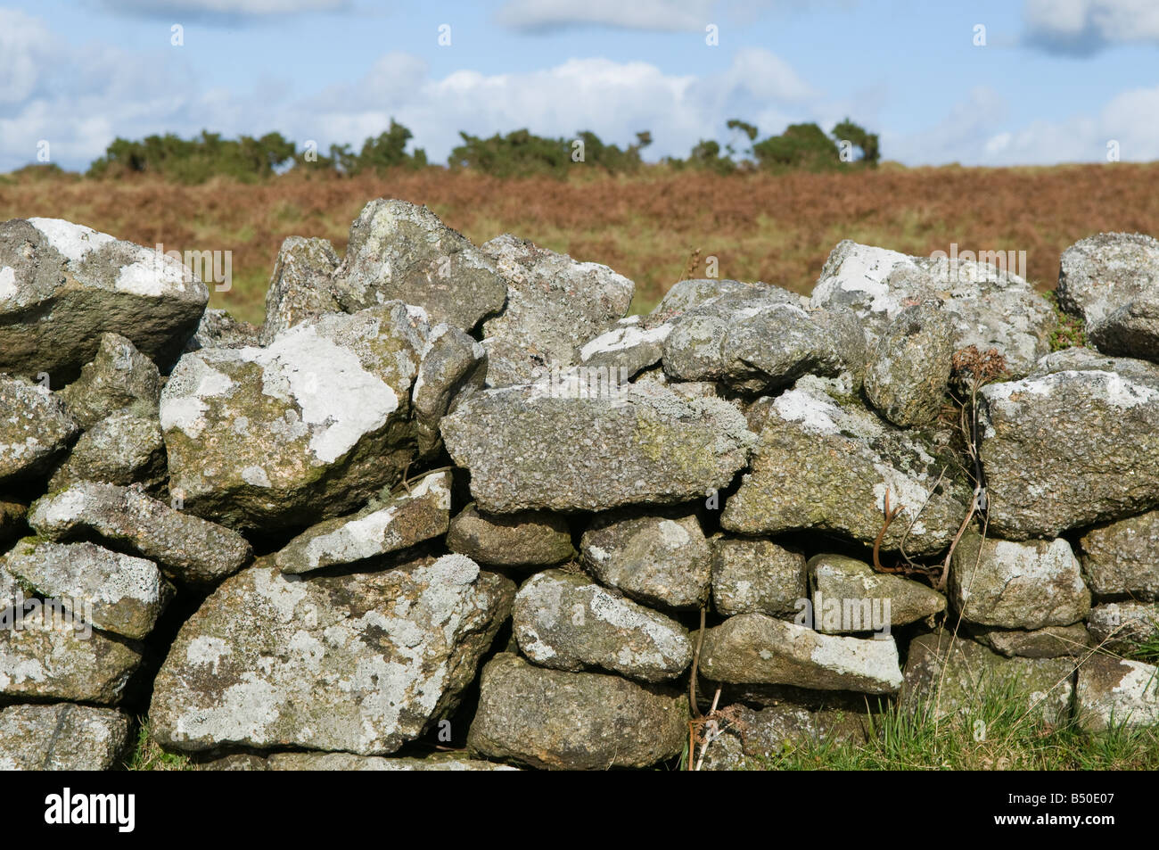 Mur en pierre ancienne, fifres, Bodmin Moor, Cornwall Banque D'Images