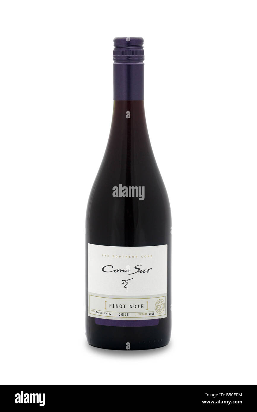 Le Cône sud cono sur pinot noir de la vallée centrale du Chili bouteille de vin rouge Banque D'Images
