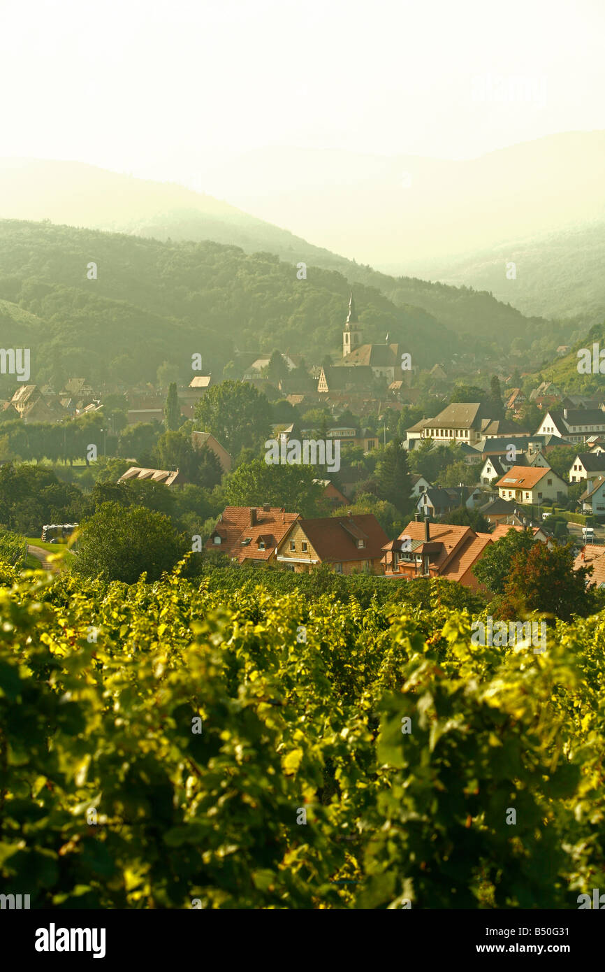 Sep 2008 - vignes et villages le long de la Route des Vins Alsace France Banque D'Images