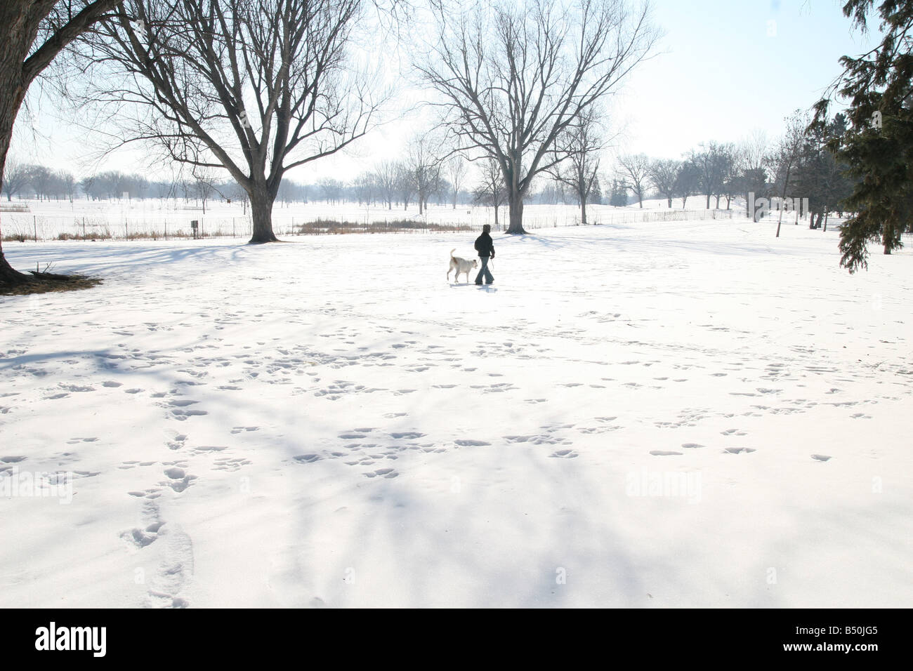 Une jeune fille promener son chien dans la neige. Banque D'Images