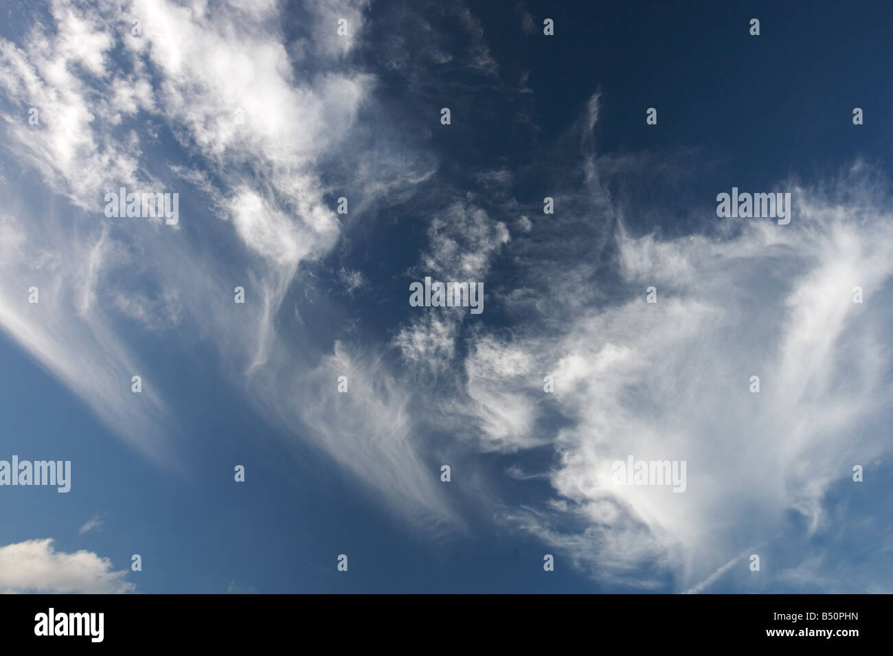 Cirrus. Banque D'Images