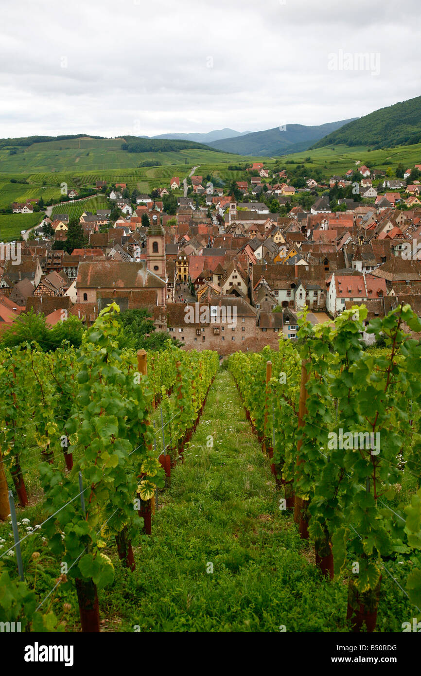 Sep 2008 Vue sur le village de Riquewihr et de vignobles dans la région Alsace Route des Vins Banque D'Images