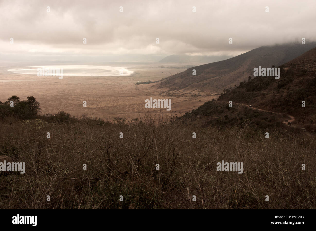 Le cratère du Ngorongoro Conservation Area, Tanzanie Afrique. Banque D'Images