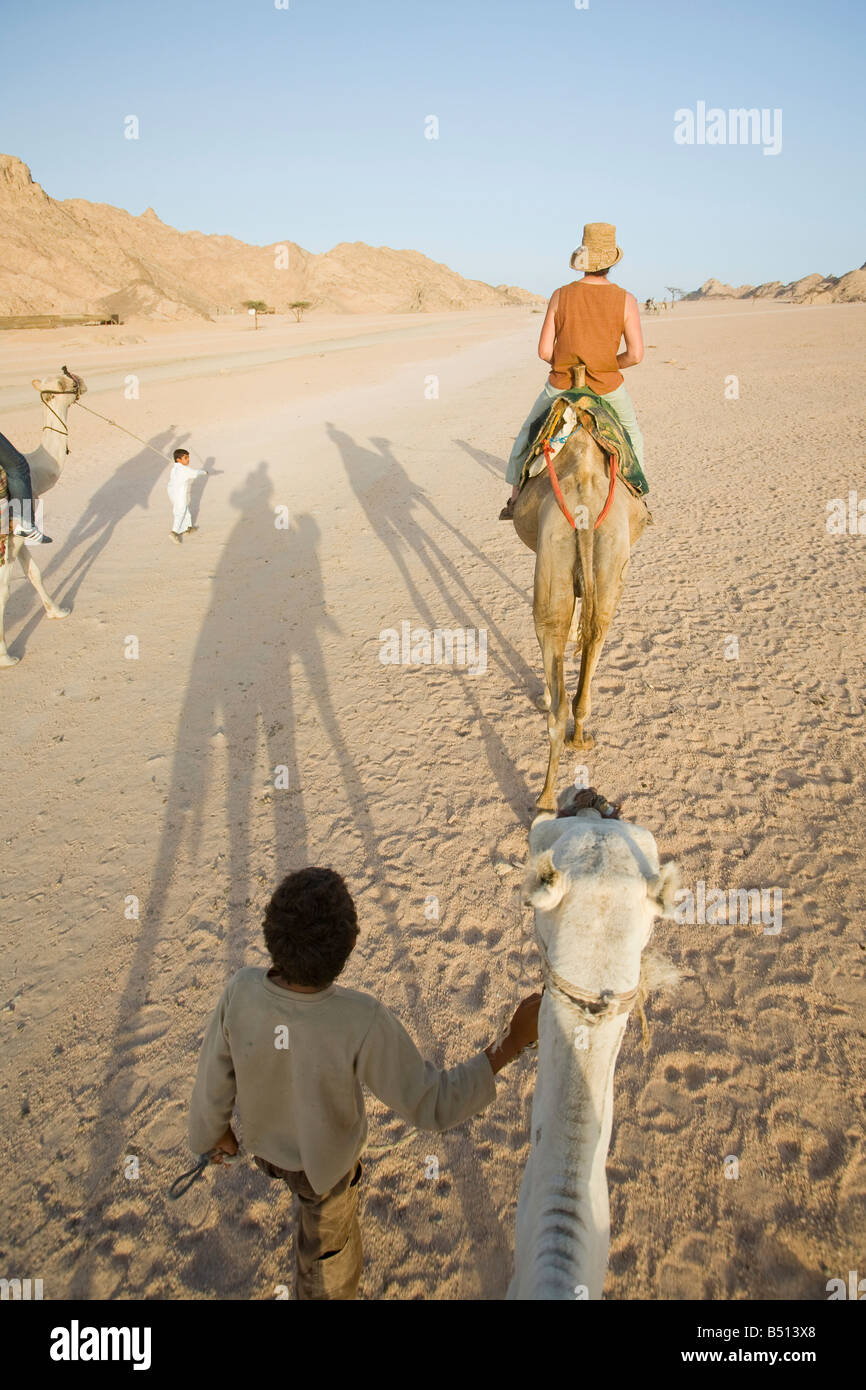 Circonscription de tourisme sur les chameaux bédouin dans le désert du Sinaï près de Dahab en Egypte Banque D'Images