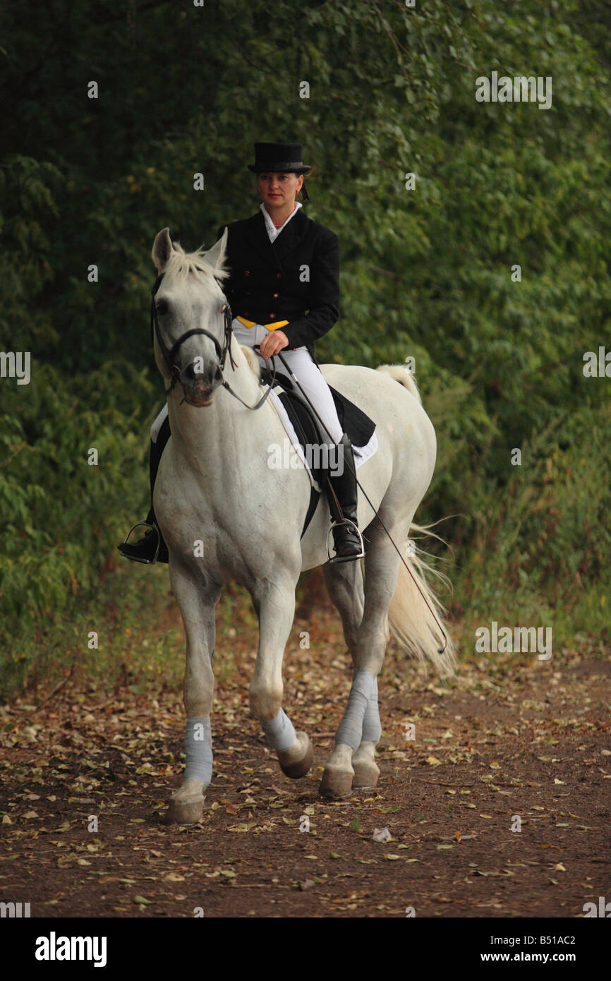 Le sport équestre. II Dressage Banque D'Images