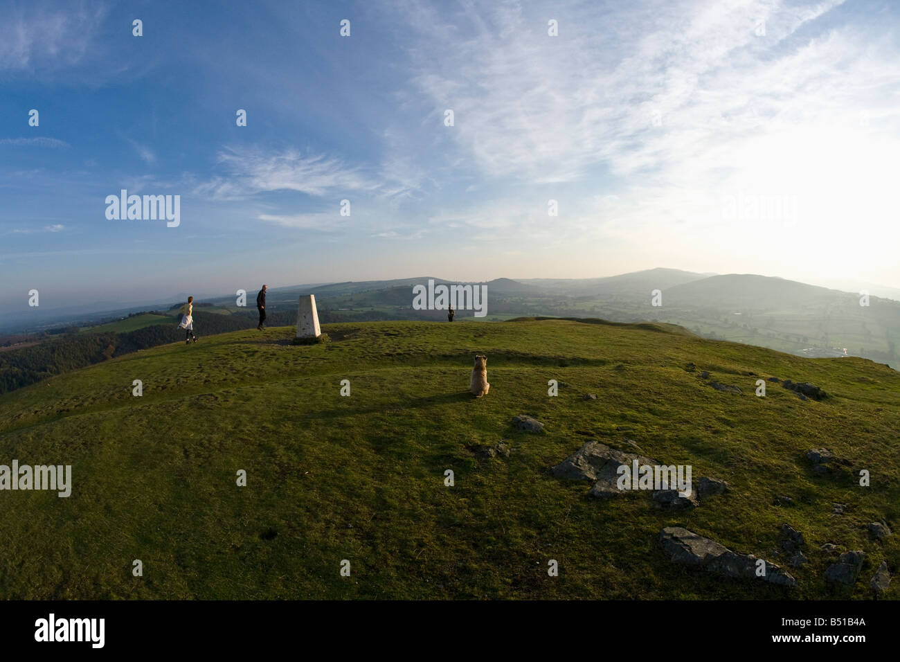 Dog Walkers profitez d'une vue panoramique sur la campagne à la recherche d'Pontesford Stiperstones de Shropshire en Angleterre summer Hill Banque D'Images