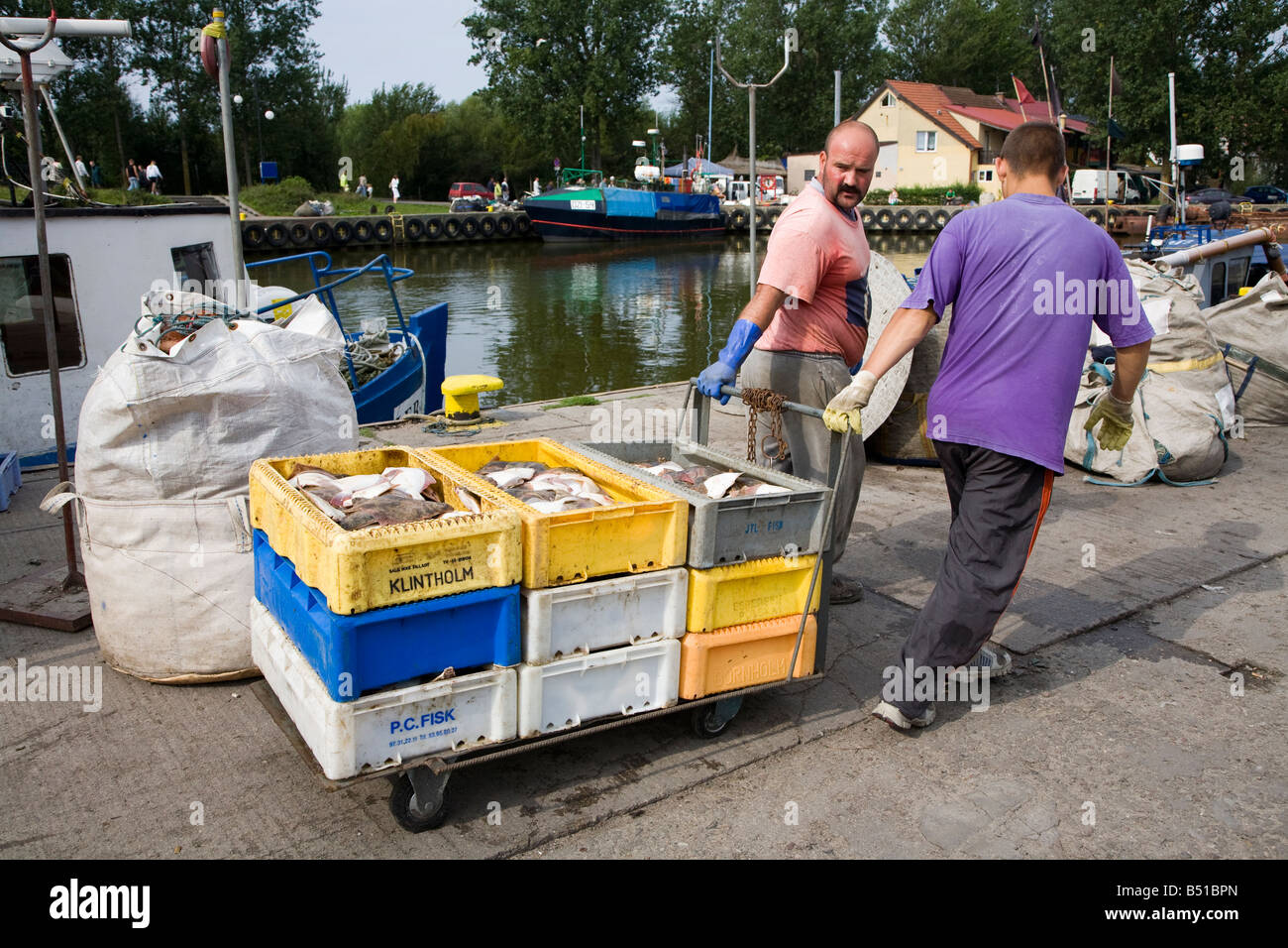 Boîtes de poisson frais débarqué au port de Leba et emmenés pour le traitement de la Pologne Banque D'Images