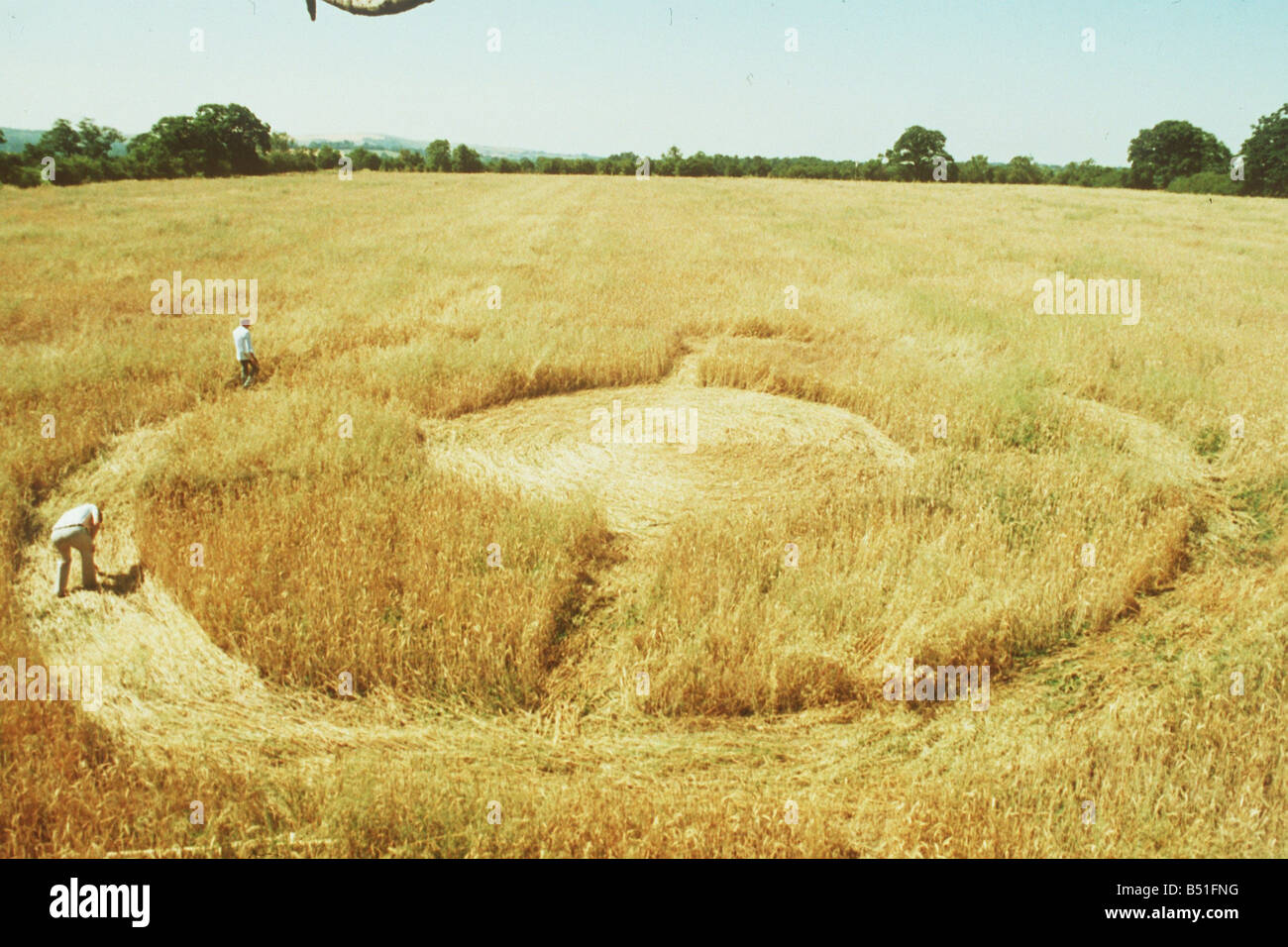 Les cercles de récolte 1990 Banque D'Images