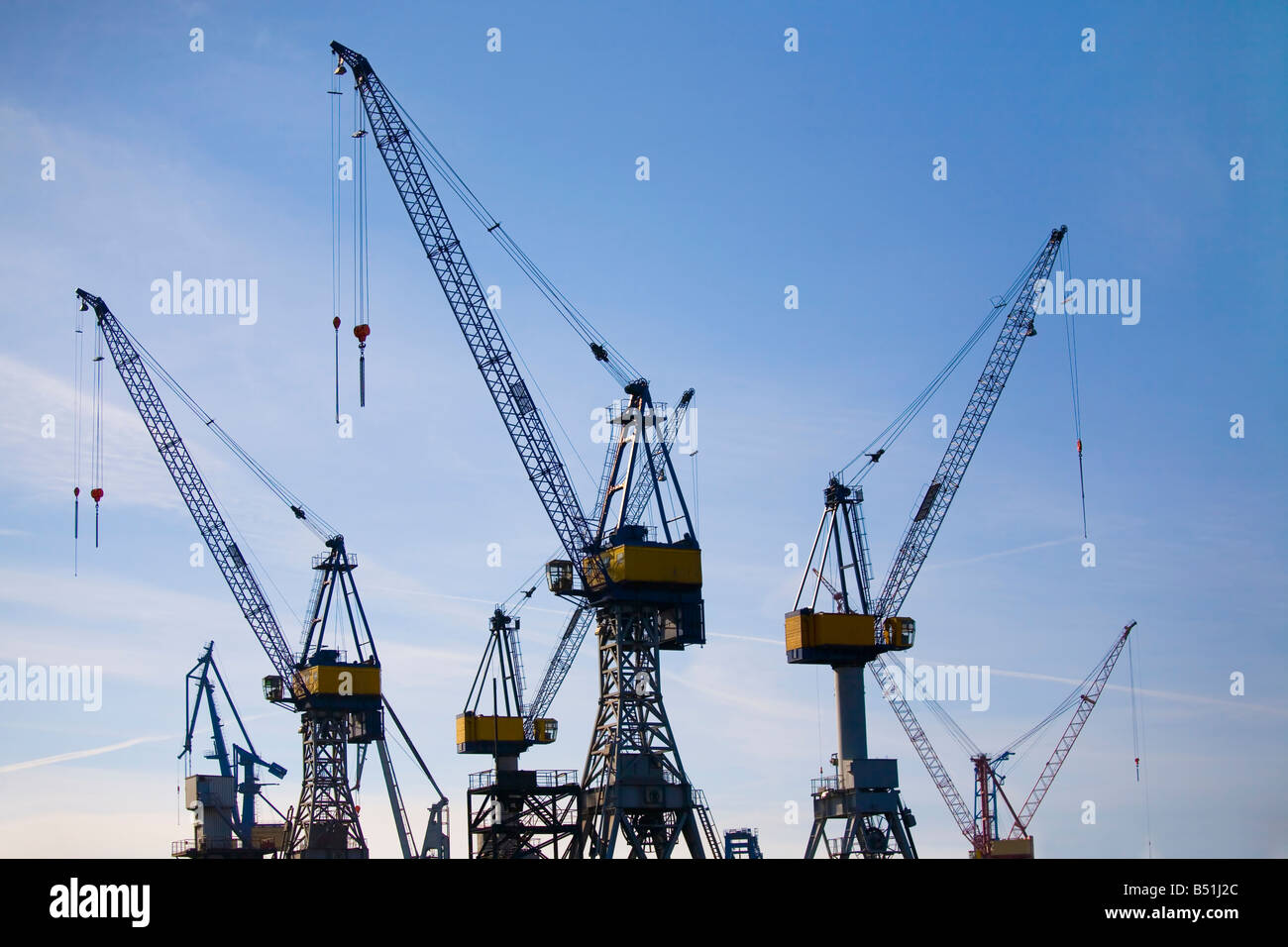 grues Banque D'Images