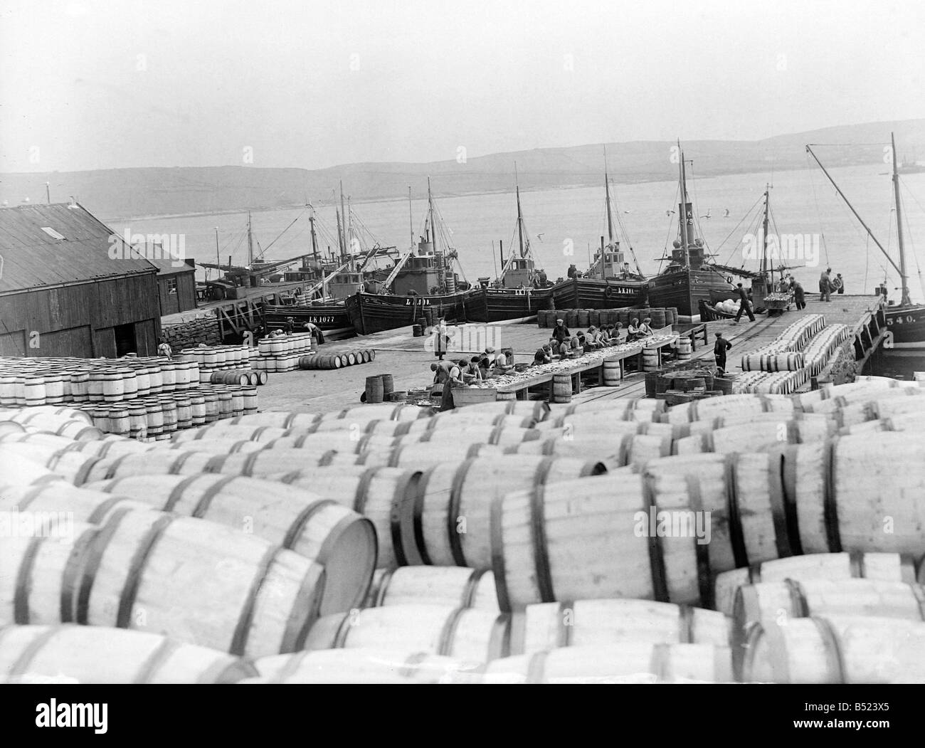 La flotte de pêche du hareng à Lerwick, Shetland Isles. 1950&# 13 ;&# 10;024442/15&# 13 ;&# 10 ;&# 13 ;&# 10 ; Banque D'Images