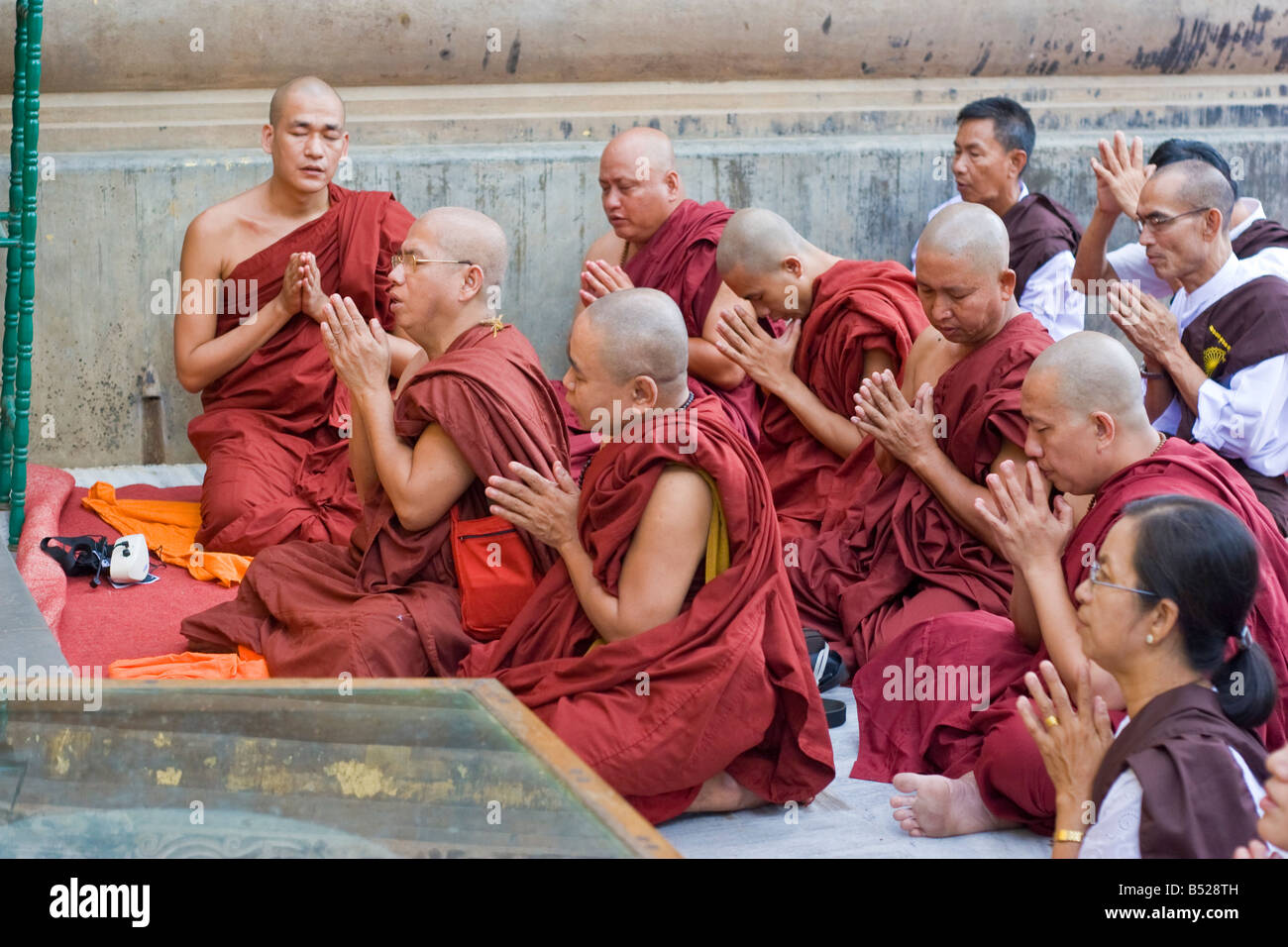 Des moines bouddhistes prient en vertu de l'arbre de Bodhi à Bodhgaya, Etat du Bihar, Inde. Banque D'Images