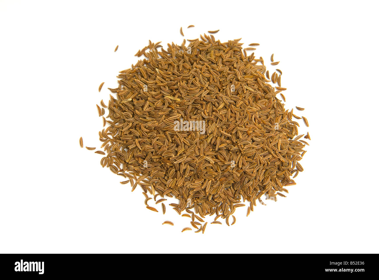 Persian cumin Banque de photographies et d’images à haute résolution