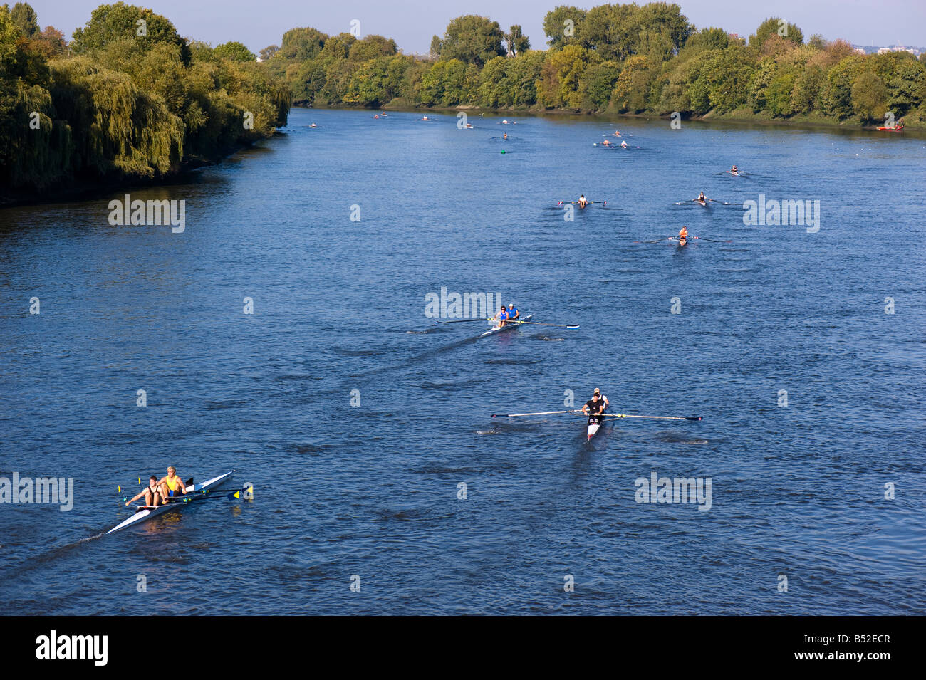 Course d'aviron sur la rivière Thames, London Royaume Uni Banque D'Images