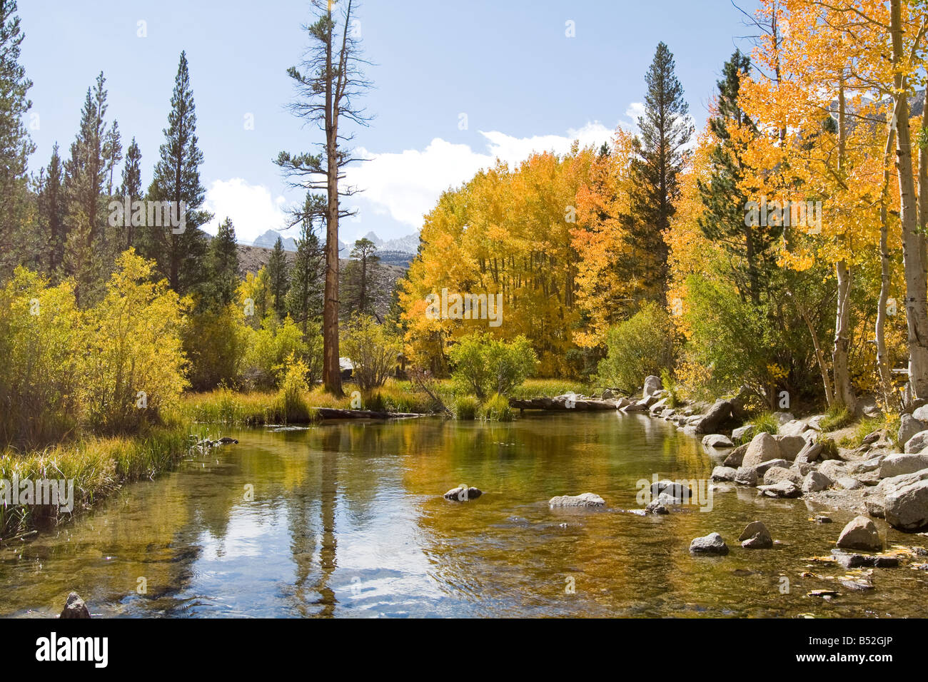Les couleurs de l'automne près du lac Sabrina, Bishop Creek Canyon, l'Est de Sierras Banque D'Images
