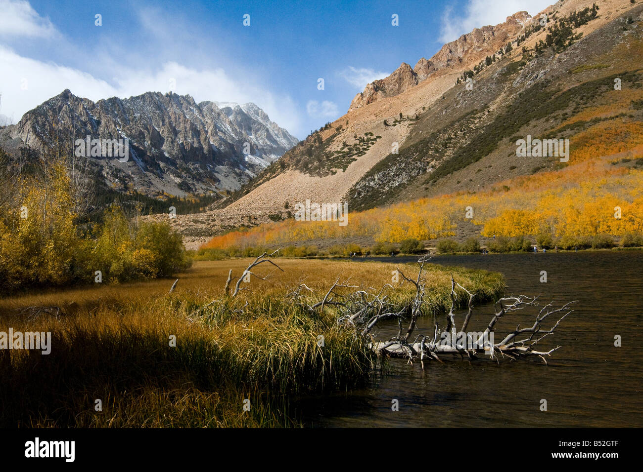 La couleur de l'automne Le lac du nord, l'Est de Sierras Banque D'Images