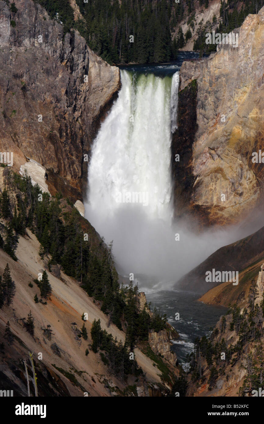 Grand Canyon de Yellowstone Lower Falls montrant Yellowstone River et tombe en Juillet Banque D'Images