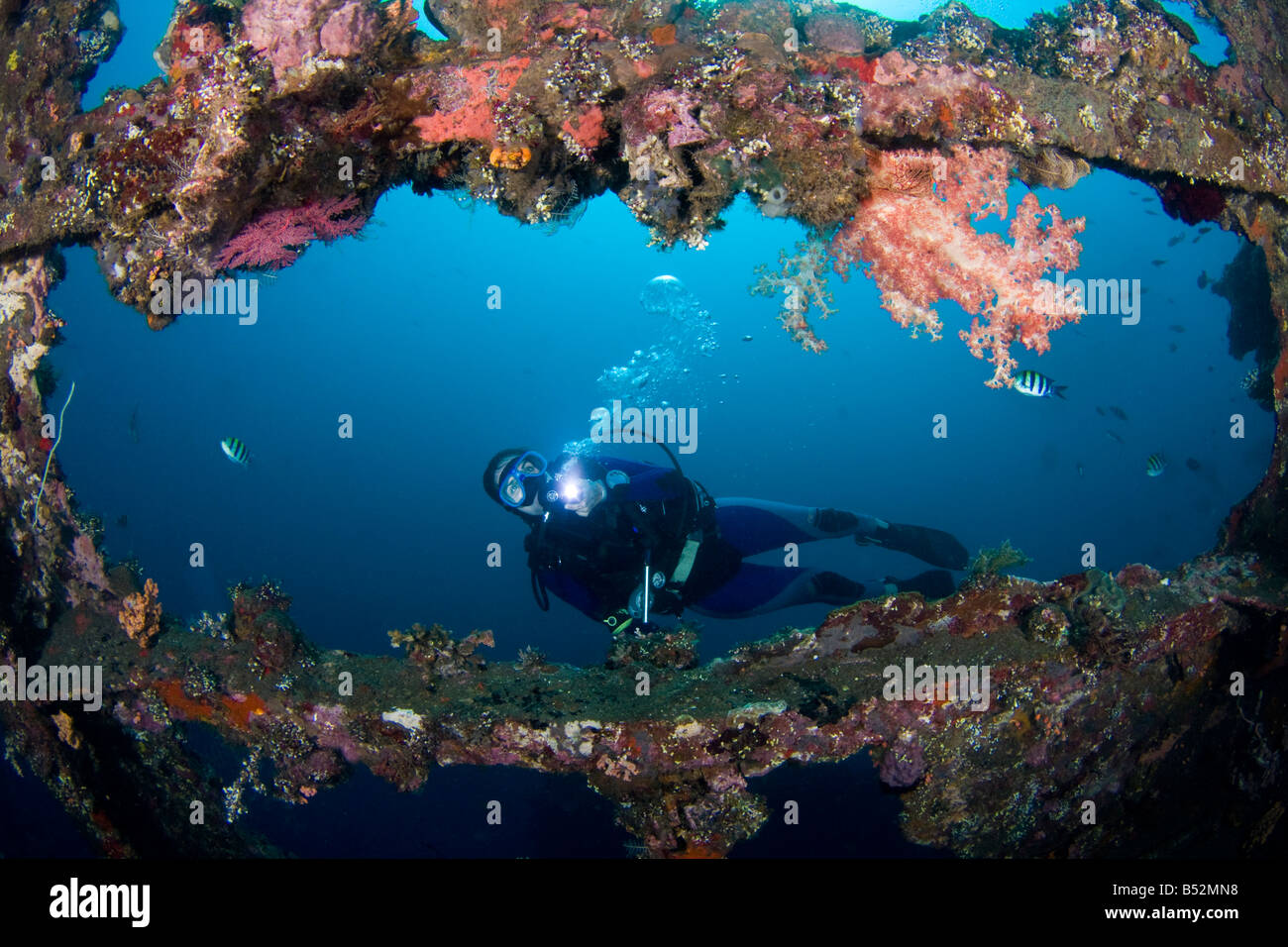 Un plongeur, l'exploration de l'épave de Tulamben Liberty, Bali, Indonésie. Banque D'Images