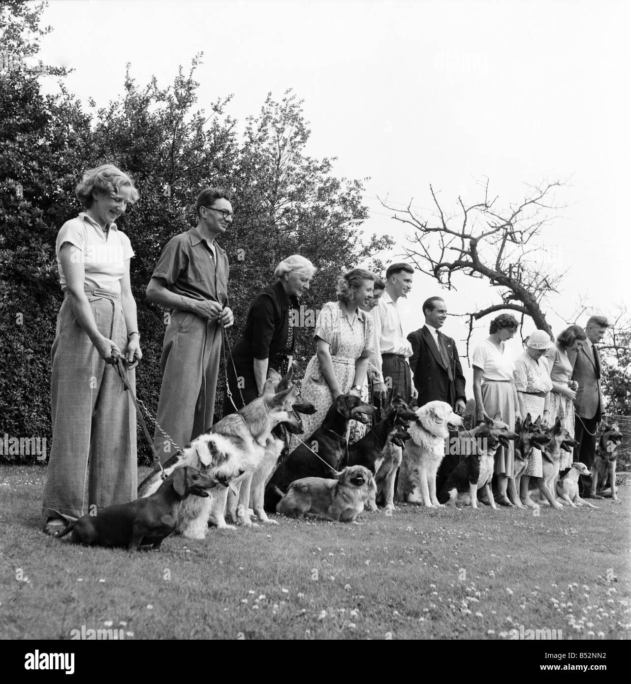 Les animaux. Les chiens en passant par les tests d'obéissance à Tunbridge Wells. Juillet 1953 D3416 Banque D'Images