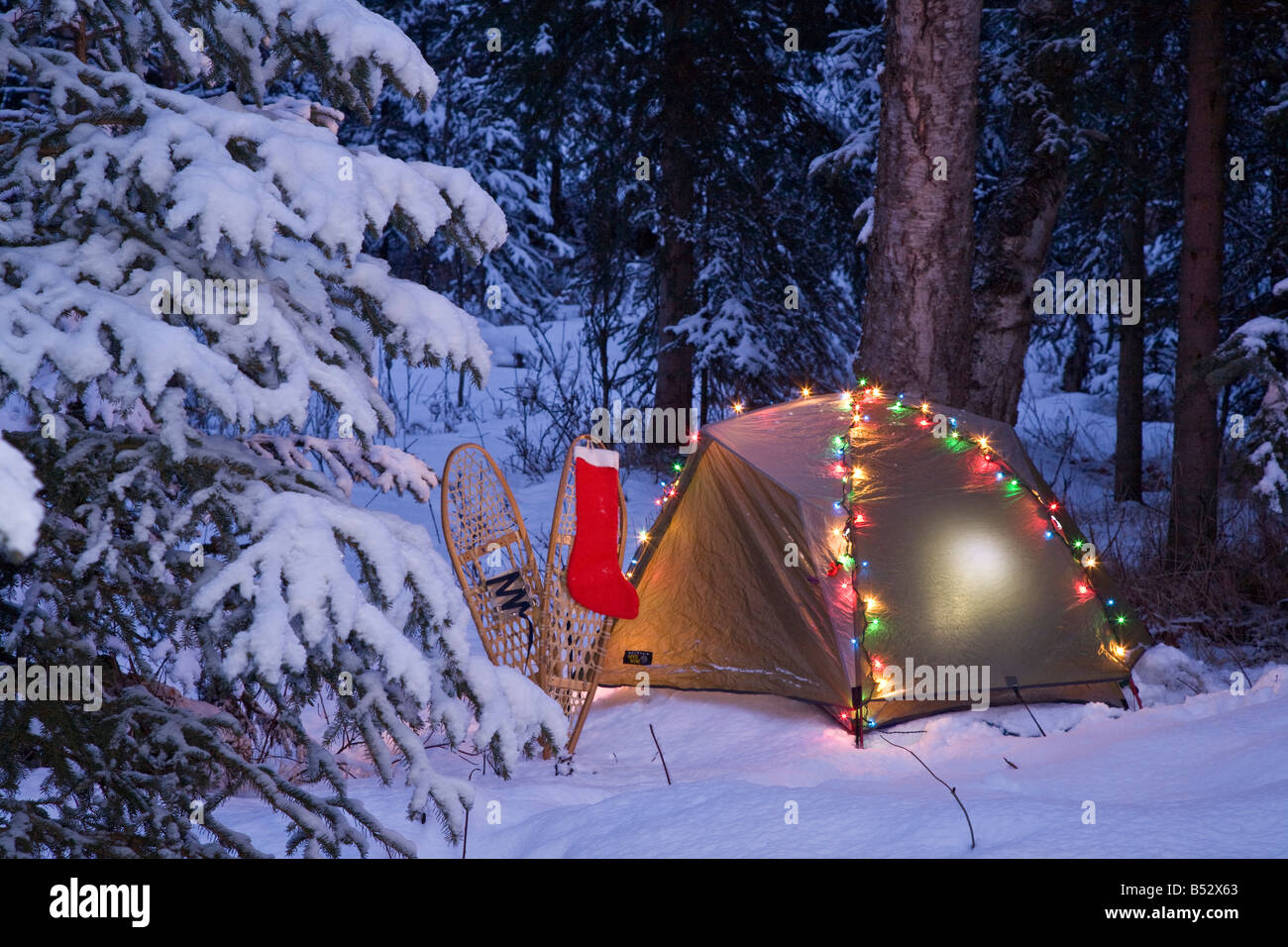 Une tente est installée dans les bois avec des lumières de Noël et l'ensemencement près d'Anchorage, Alaska Banque D'Images