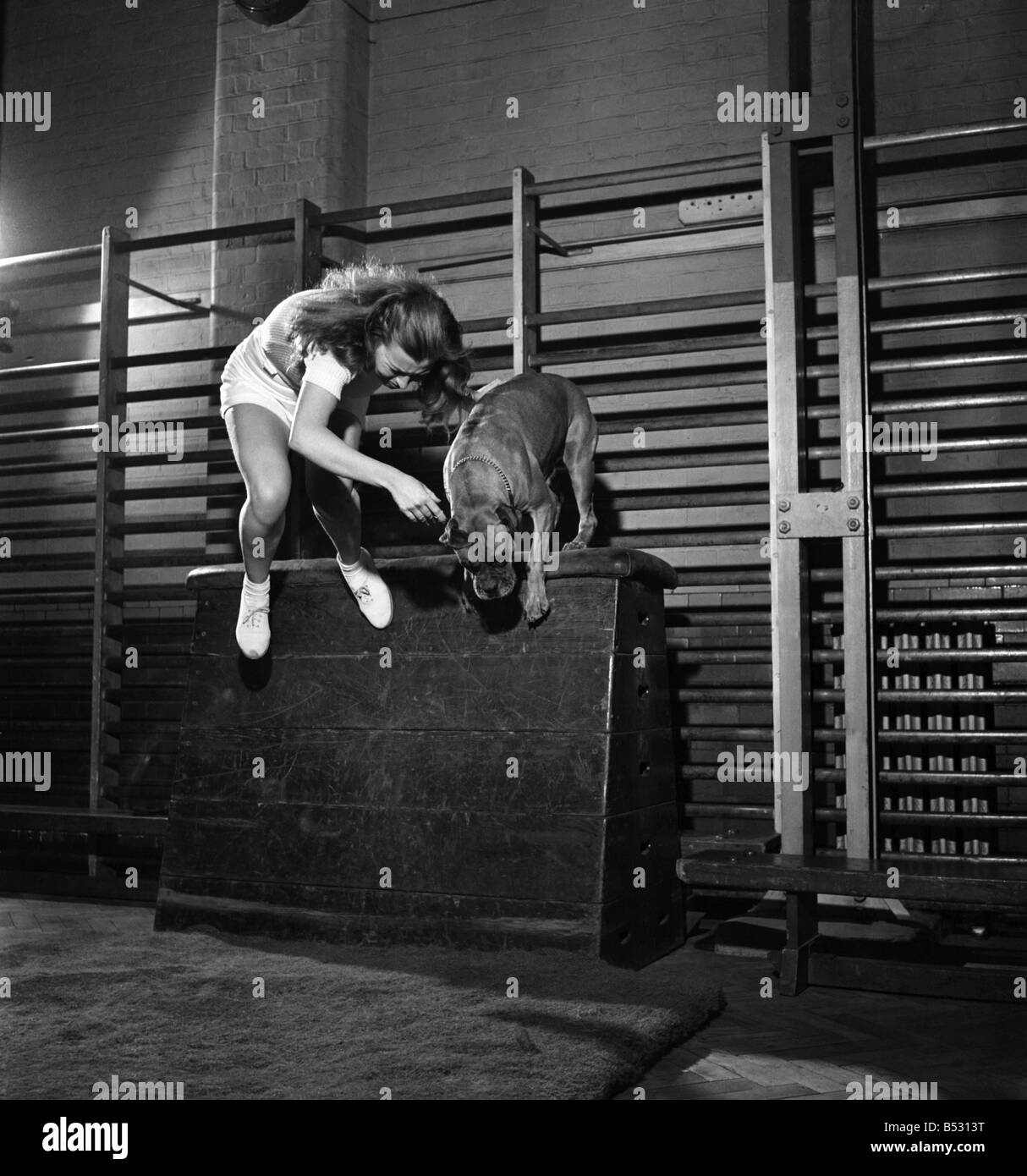 Janette Gay, un stunt girl in films, n'est un durcissement des exercices dans une salle de sport à Londres. Septembre 1950 O25814 Banque D'Images