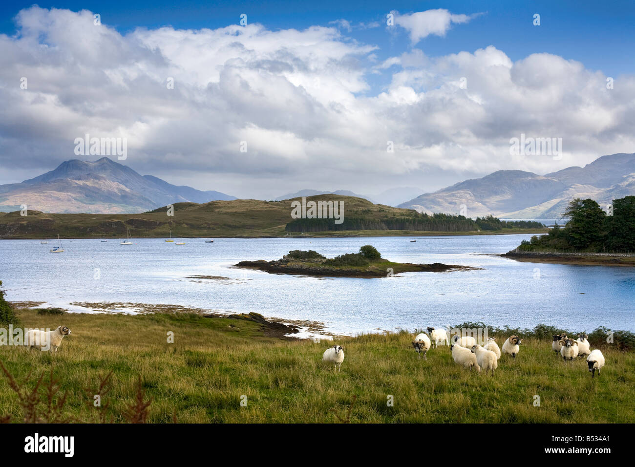 Vue depuis par Isle Ornsay Sleat, péninsule, île de Skye, Écosse Banque D'Images