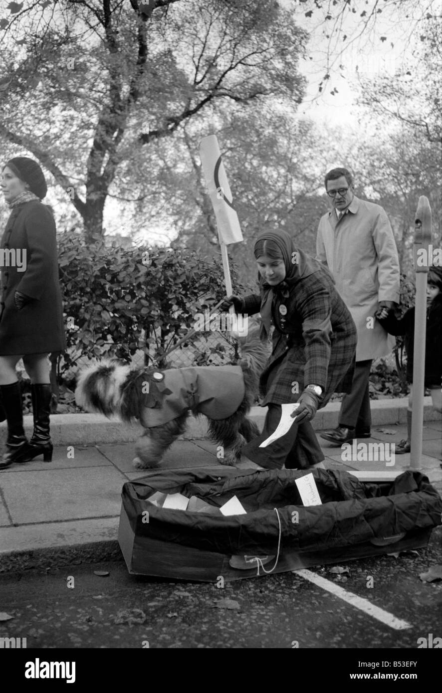 L'utilisation des policiers étaient en service en cas de problème au cours de la manifestation contre la guerre du Vietnam à l'extérieur de l'ambassade américaine à Grosvonor Square;cartes portant les noms des morts américains au Vietnam ont été déposés dans un cercueil à l'extérieur de l'ambassade des États-Unis. ;Les manifestants devant le cercueil de les faire tomber dans le nom des morts à la guerre au Vietnam. ;Novembre 1969 ;Z11056-001 Banque D'Images