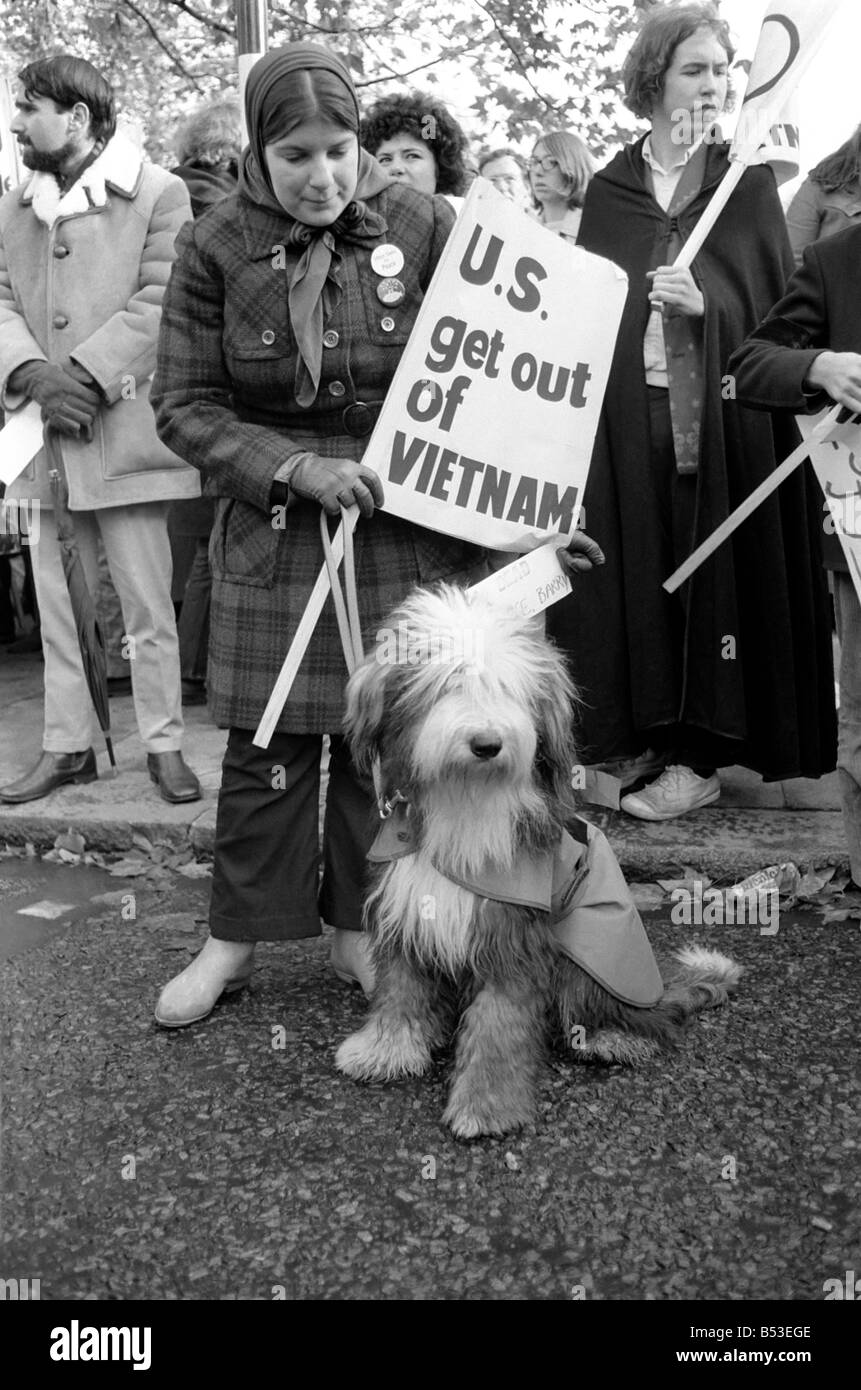 L'utilisation des policiers étaient en service en cas de problème au cours de la manifestation contre la guerre du Vietnam à l'extérieur de l'ambassade américaine à Grosvonor Square;cartes portant les noms des morts américains au Vietnam ont été déposés dans un cercueil à l'extérieur de l'ambassade des États-Unis. ;Certains manifestants Anti-Vietnam - le chien a été donné à la Brian. Novembre 1969 Z11056-009 Banque D'Images