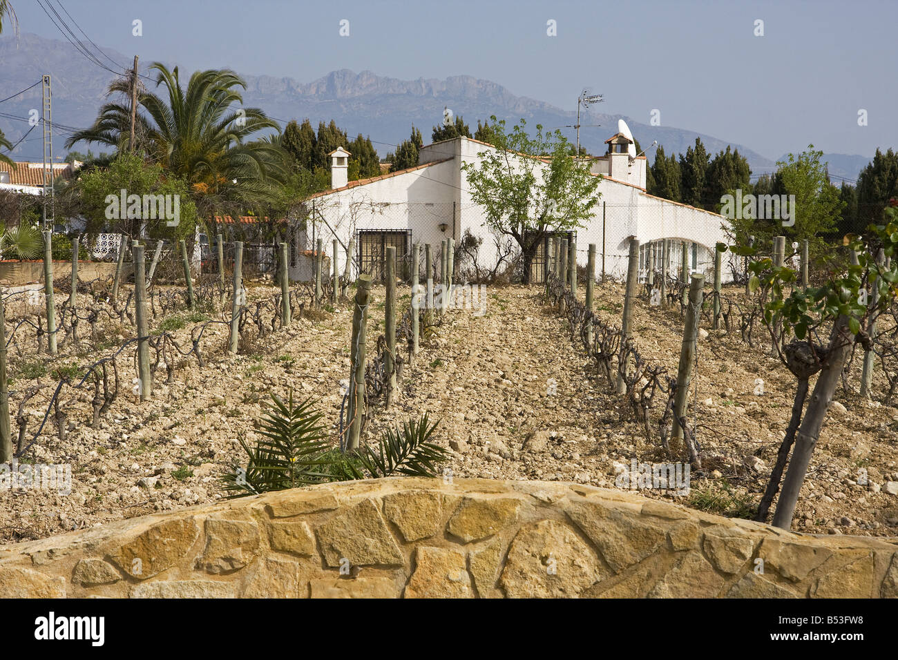 Maison de campagne près de vineyard Alfàs del Pi Alicante Espagne Banque D'Images