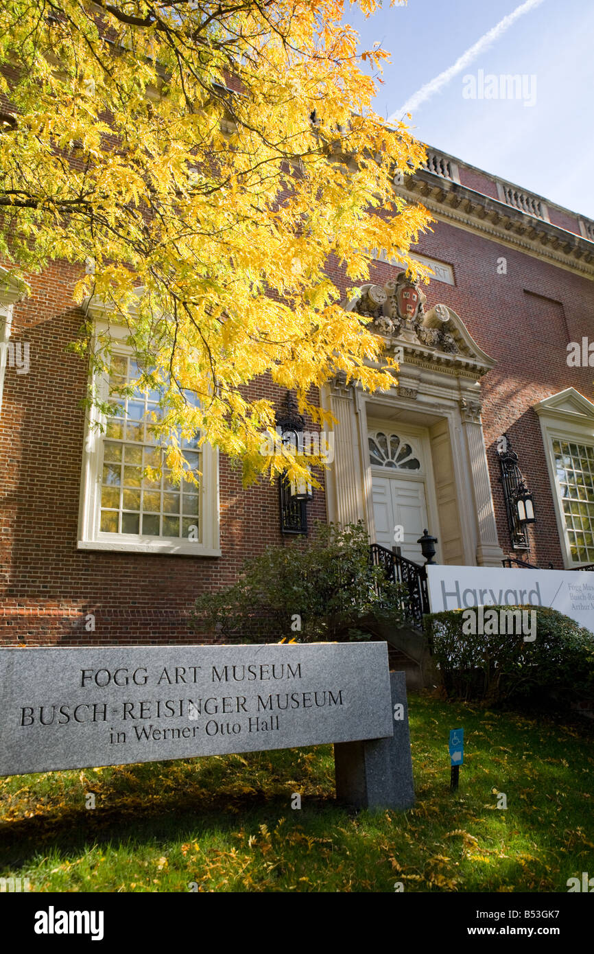 Fogg Art Museum et Musée de l'Université Harvard Busch Reisinger Cambridge Massachusetts Banque D'Images