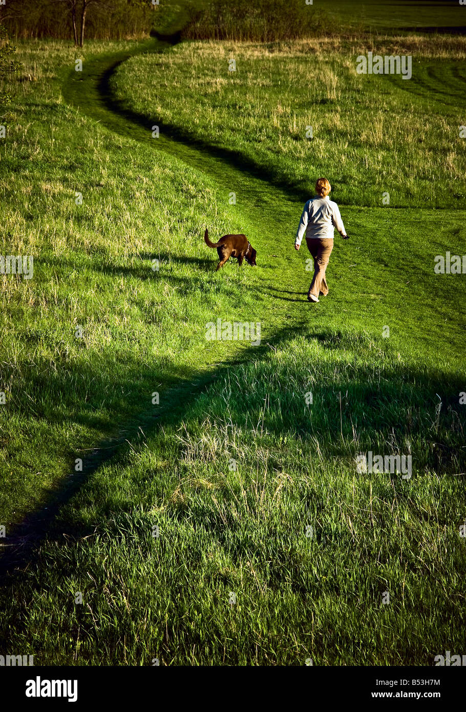 Femme marche avec son chien sur un sentier sinueux, Winnipeg, Manitoba, Canada. Banque D'Images