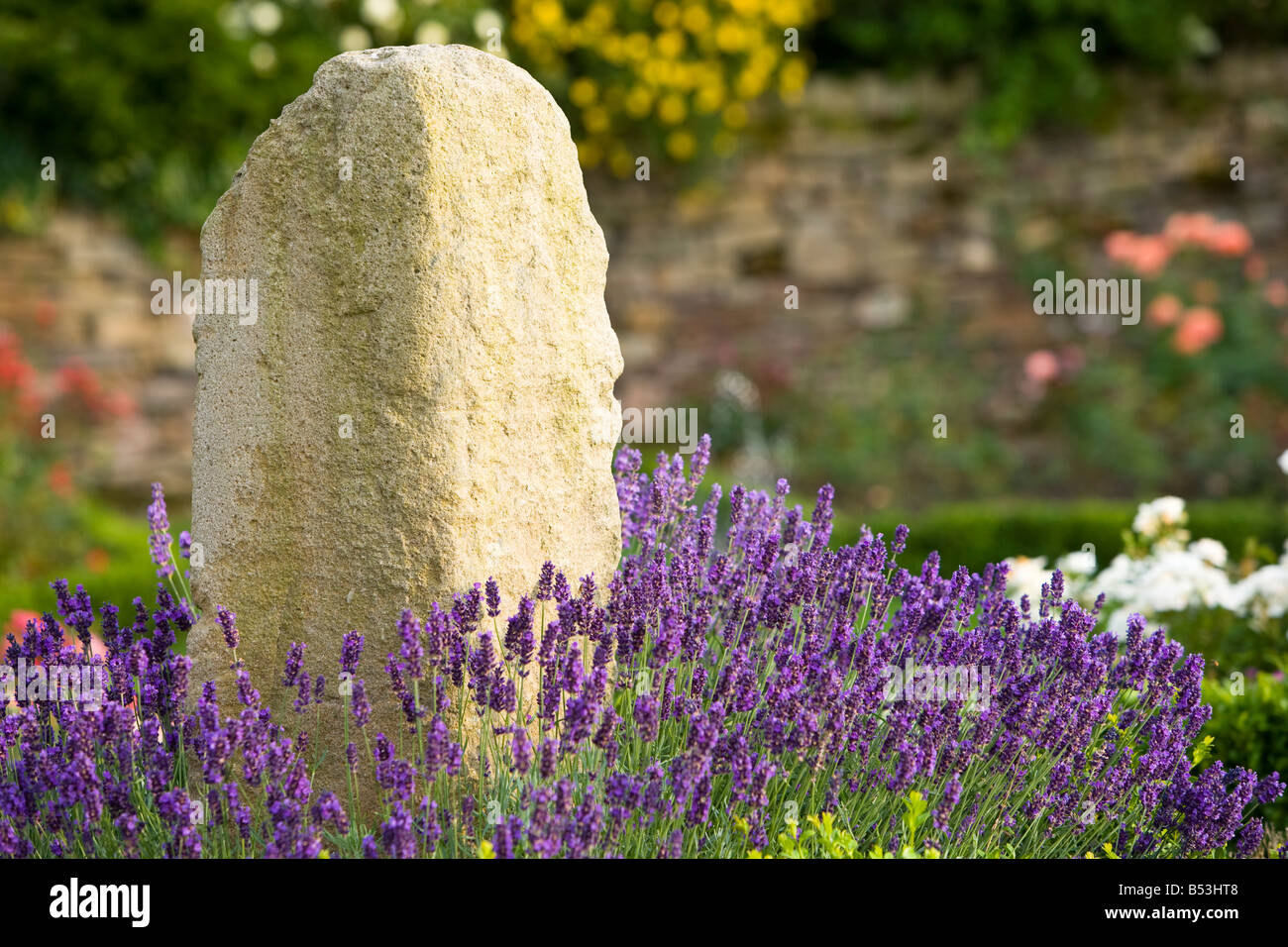 Un ornement de jardin en pierre entourée de lavande française Banque D'Images Un ornement de jardin en pierre entourée de lavande française Banque D'Images