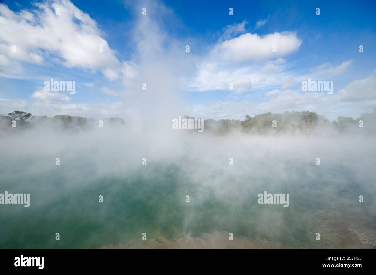 Sources géothermiques dans la région de Kuirau Park, Rotorua, île du Nord, Nouvelle-Zélande Banque D'Images