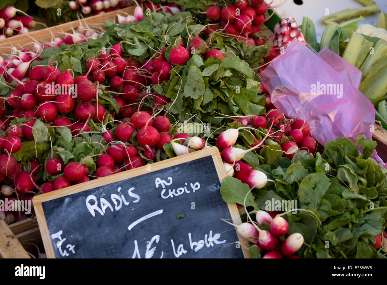 Marché de radis - Gers - Sud de France Banque D'Images