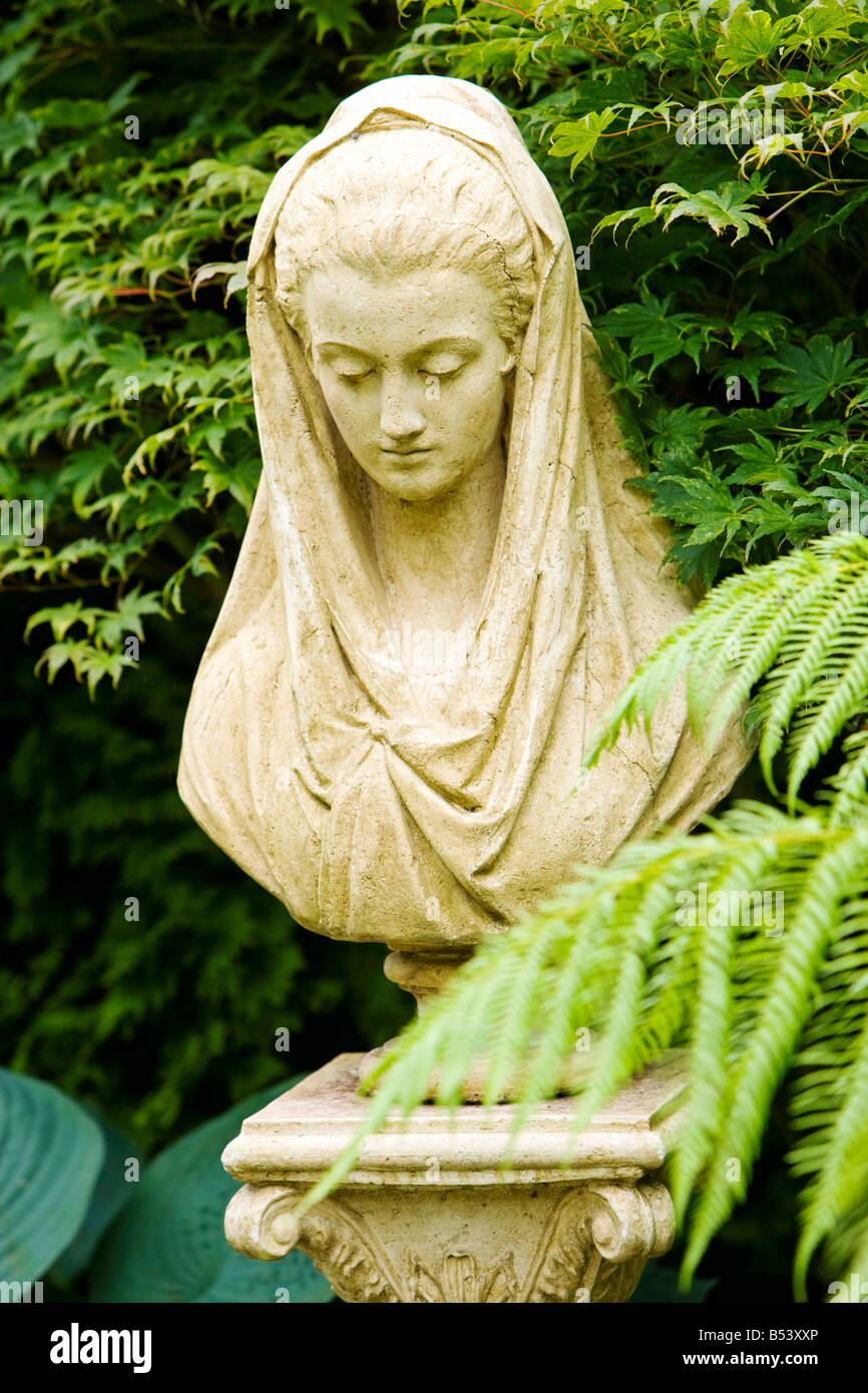 Buste avec fougère arborescente, Dicksonia Antartica Banque D'Images