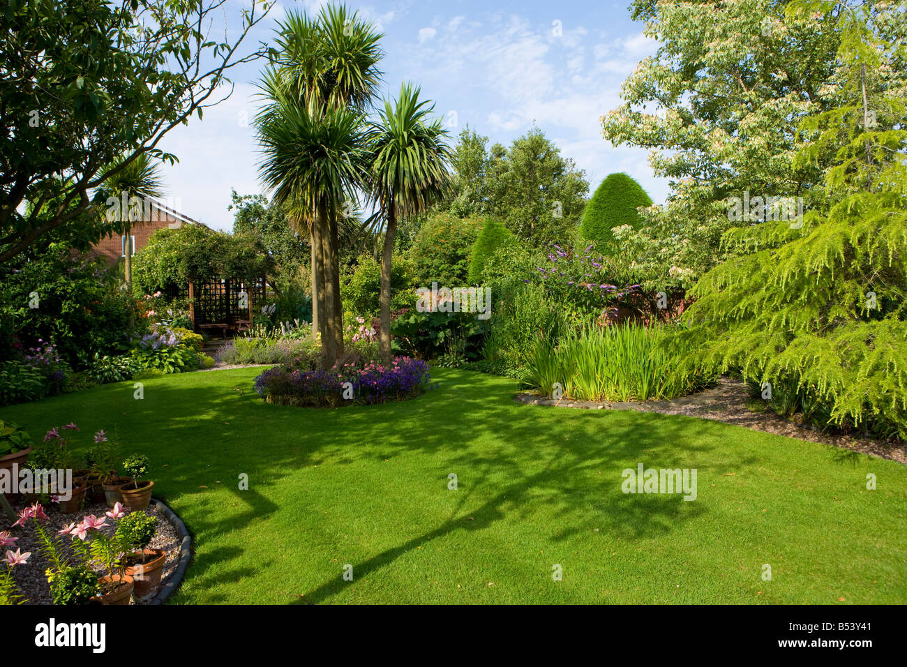Island chambres avec un grand Cordyline et plantation annuelle Banque D'Images