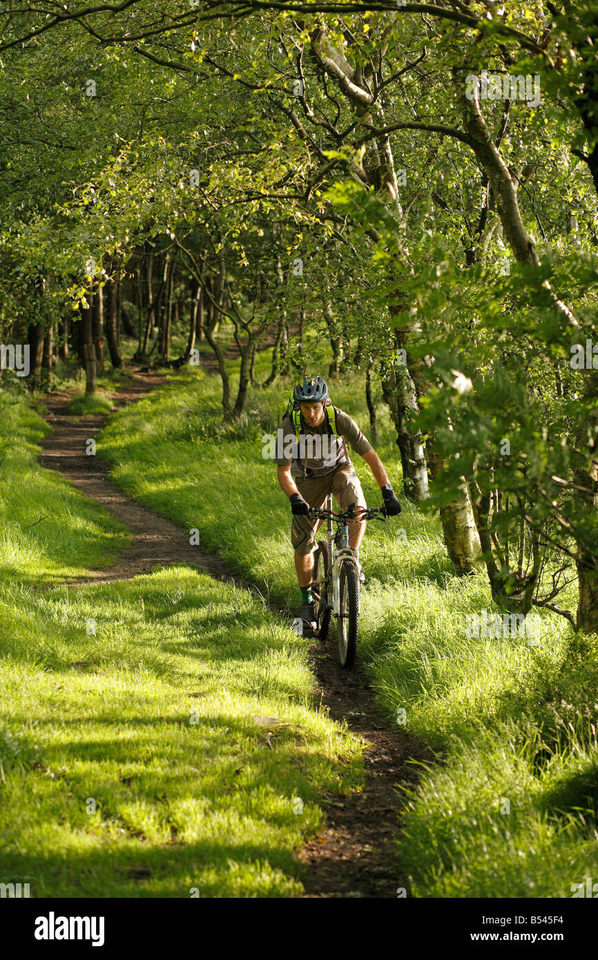 Des promenades en vélo de montagne sur une piste unique chemin dans le North Yorkshire Moors Banque D'Images