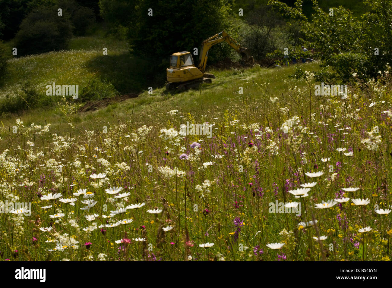 L'ancienne prairie fleurie avec une digger d'effectuer des travaux de drainage Roumanie Banque D'Images