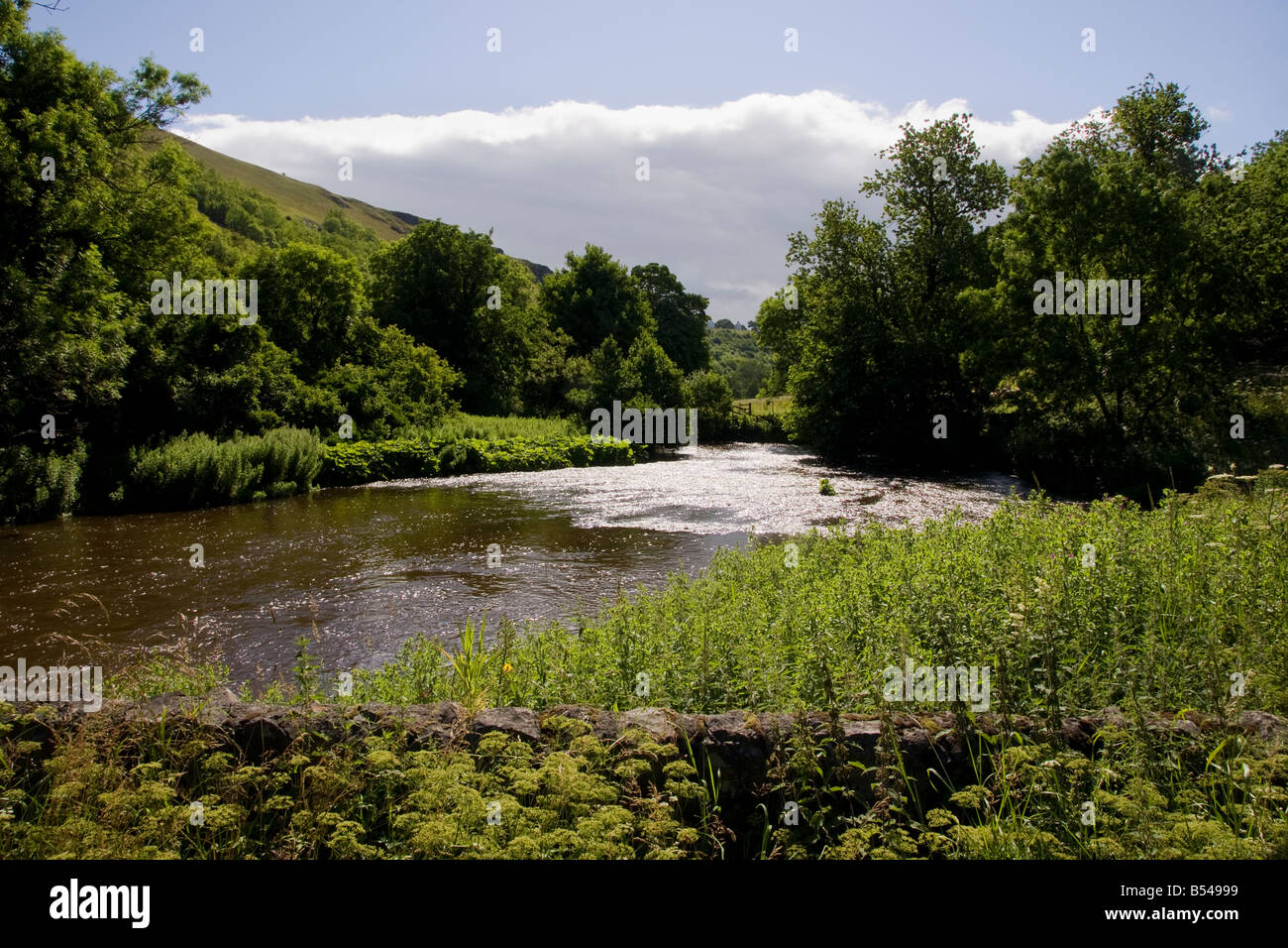 Paysage rivière Wye dans le Derbyshire monsal dale Banque D'Images