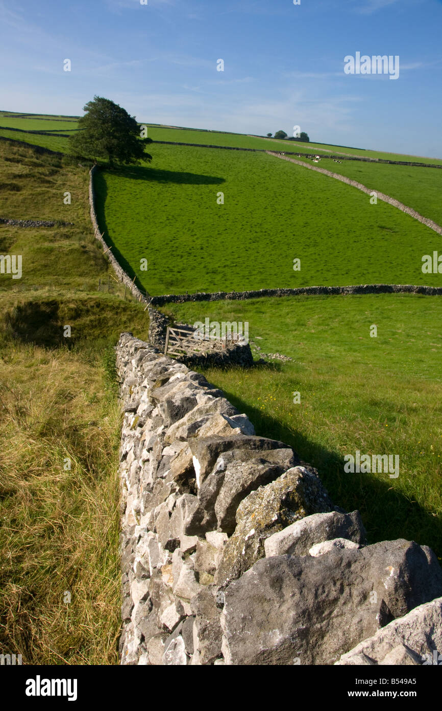 Scène de campagne anglais derbyshire avec des champs et des murs en pierre traditionnelle dans le paysage estival stoney Middleton and chatsworth dale Banque D'Images