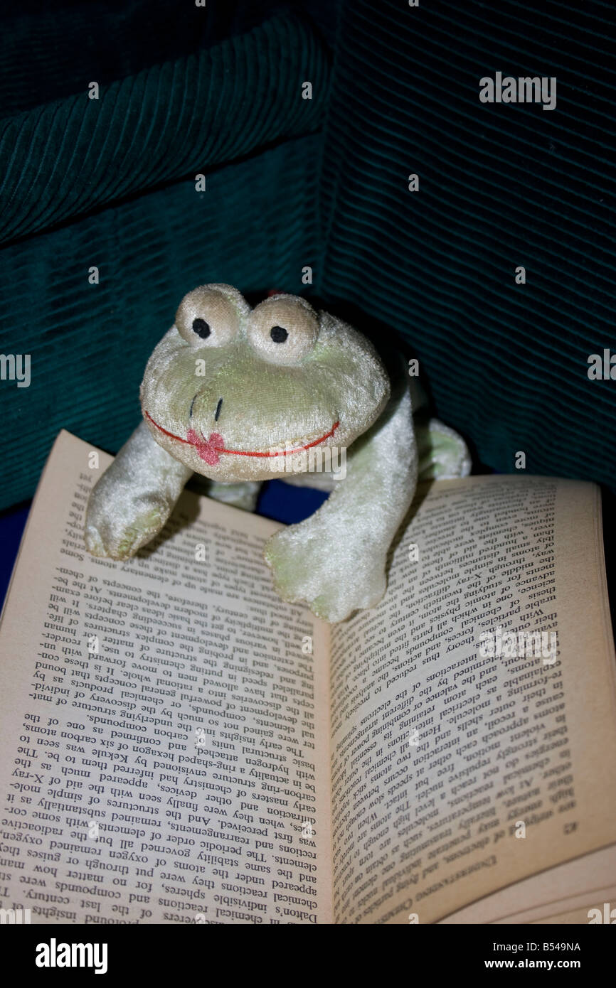 Mme Smiley Frog prend une pause nécessaire Banque D'Images