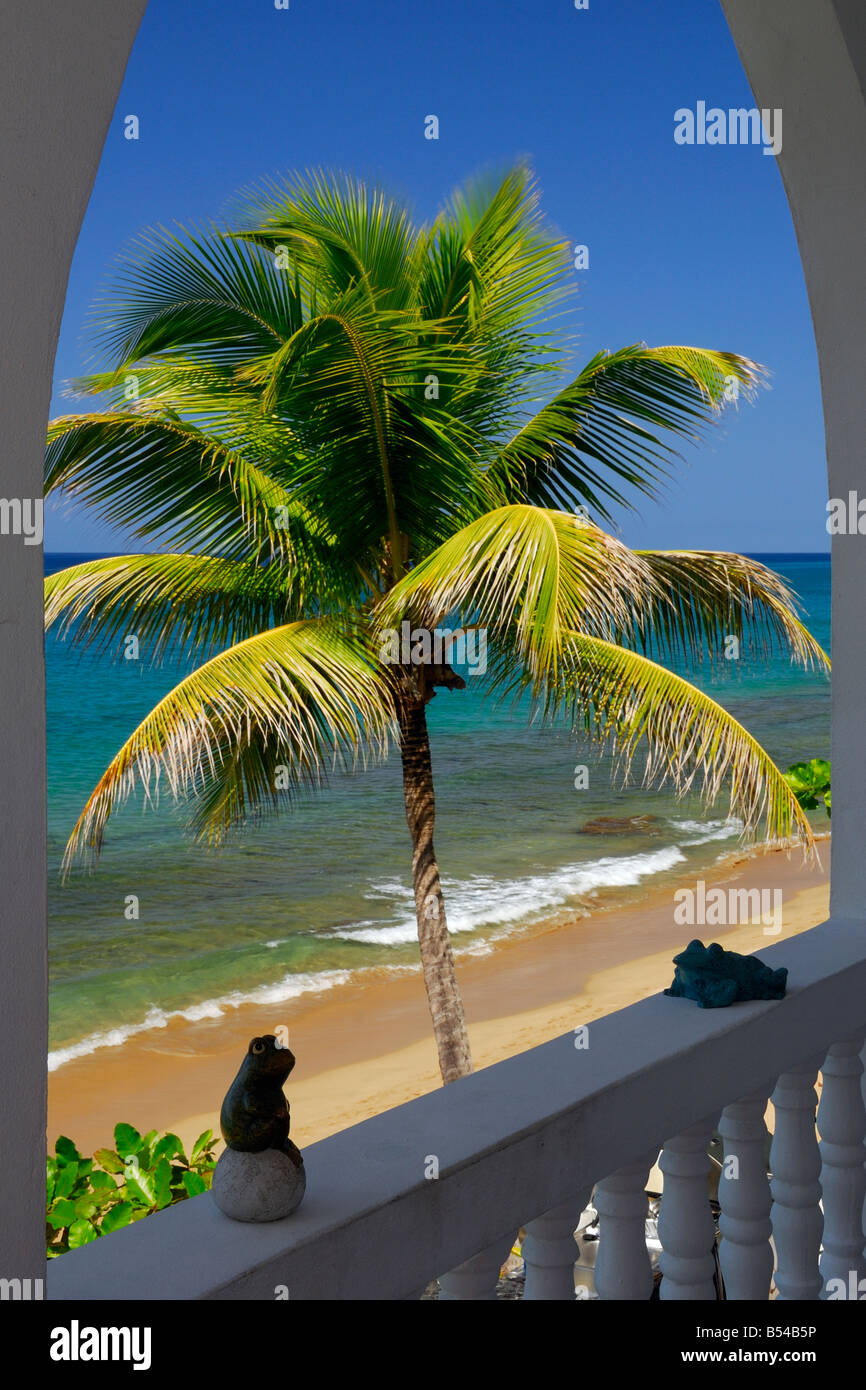 La vue magnifique sur la plage et la mer des Caraïbes à partir du rivage en Rincón de la propriété, à Porto Rico. Banque D'Images