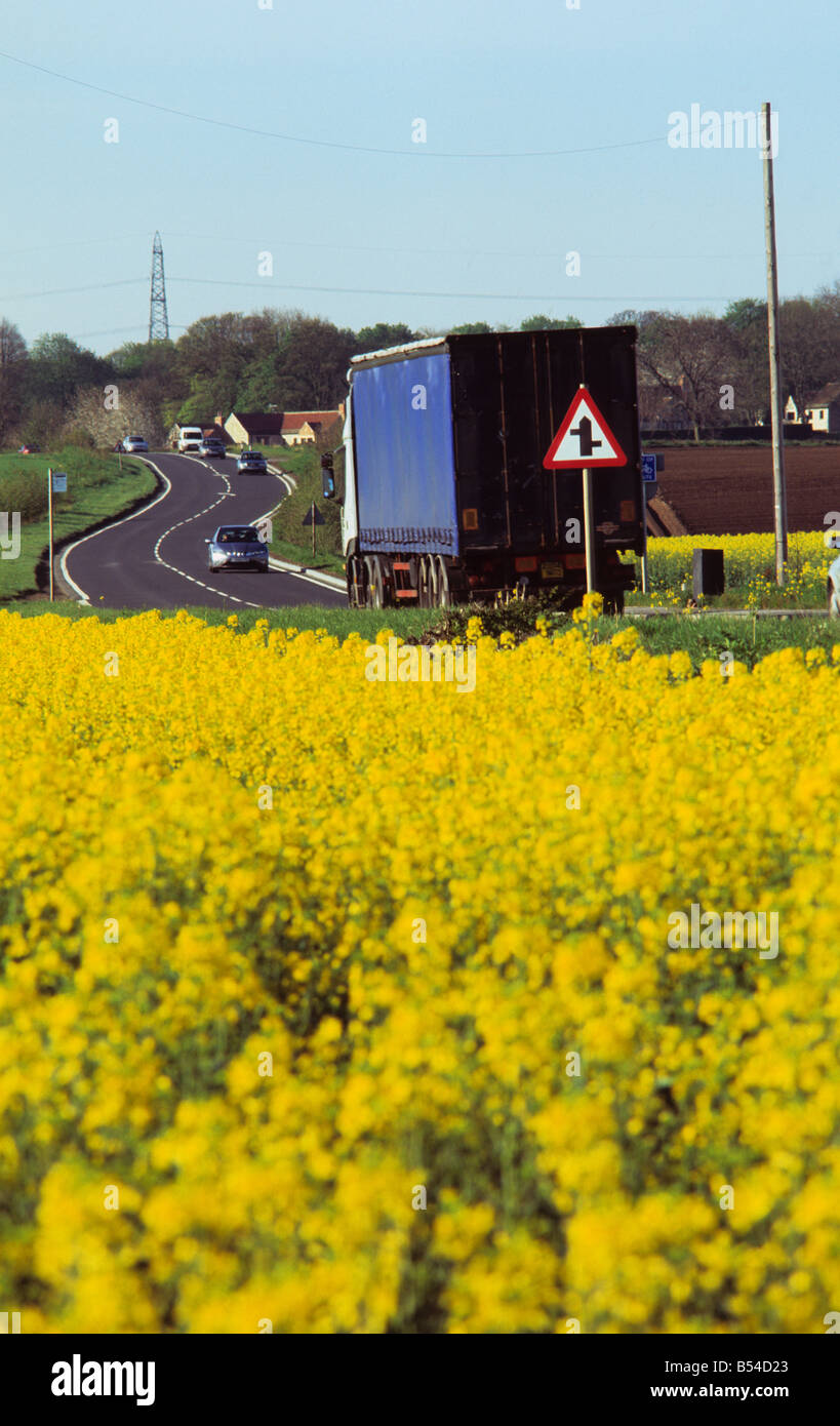 Passage de camions domaine de l'huile de colza (Brassica napus) près de Leeds Yorkshire UK Banque D'Images