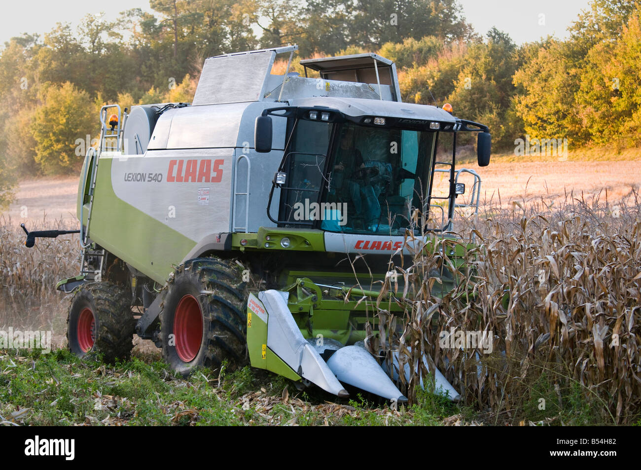 Rendmt Lexion moissonneuse-batteuse Claas 540 - la récolte du maïs pour l'alimentation animale, Indre-et-Loire, France. Banque D'Images