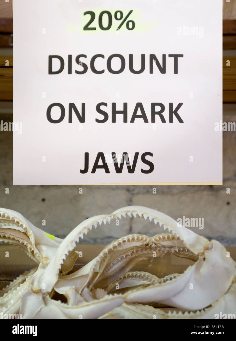 Chypre Limassol boutique avec des mâchoires de requins offre spéciale Banque D'Images