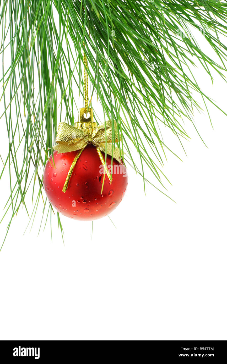 Arbre de Noël bauble hanging sur feuilles de pin sur fond blanc Banque D'Images