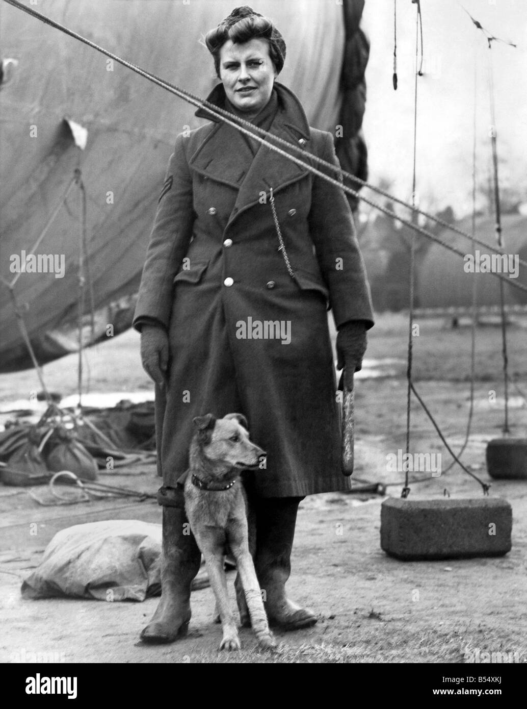 La Deuxième Guerre mondiale, mascottes. Avec sa jambe gauche cassée encore à Jim de bandage, le chien monte la garde à un site de ballon dans les Midlands avec la WAAF Guard qui est armé avec son baton et sifflet. Février 1943 P011586 Banque D'Images