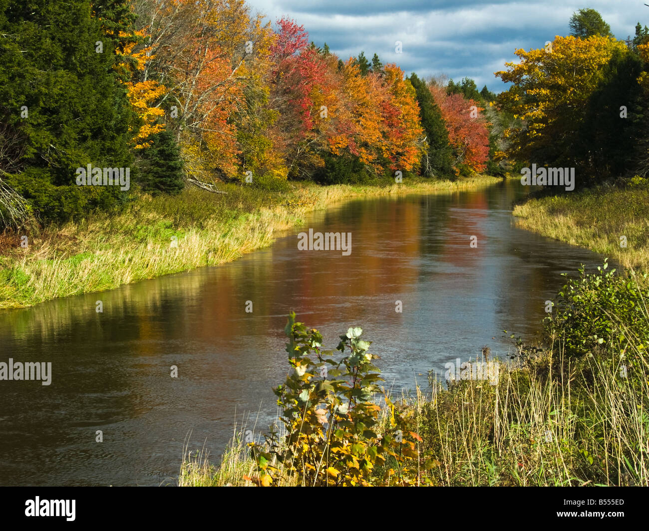 Musquodobois, près de Wyse Road - Rural Municipalité régionale de Halifax, Nouvelle-Écosse, Canada Banque D'Images