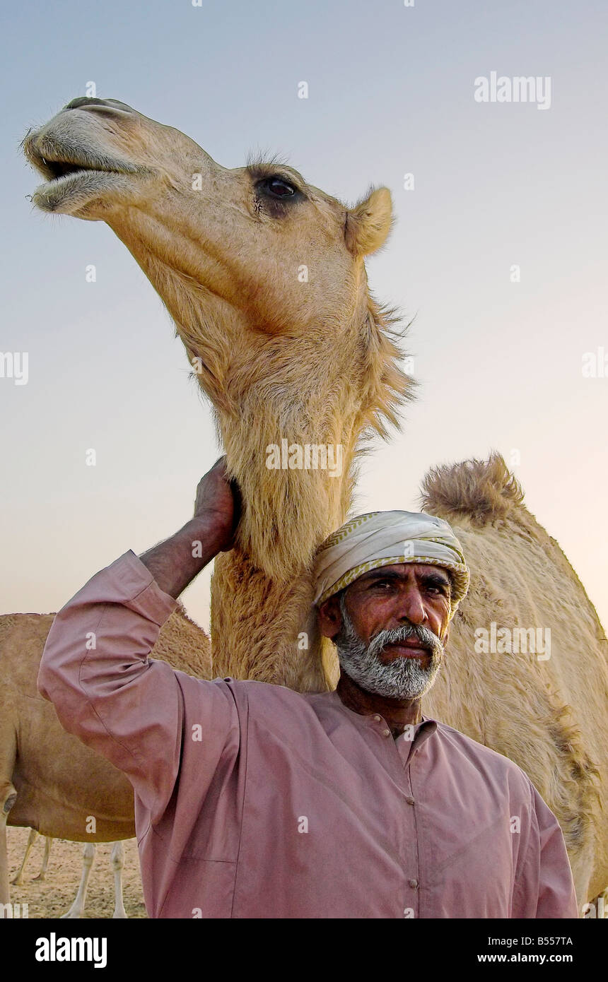 Vieux bédouins pasteurs avec l'un de ses chameaux dans Dubai Desert Conservation Reserve au coucher du soleil Banque D'Images