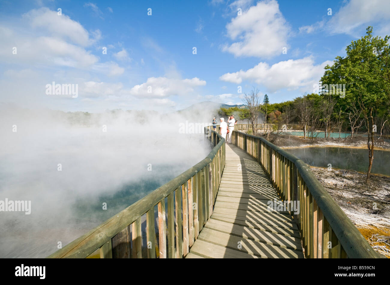 Sources géothermiques dans la région de Kuirau Park, Rotorua, île du Nord, Nouvelle-Zélande Banque D'Images