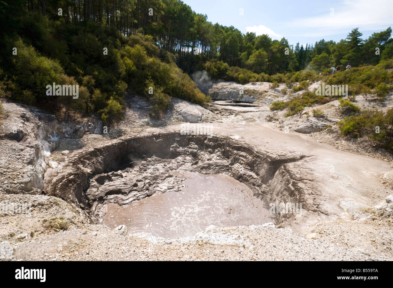 Piscine de boue chaude au wai-O-Tapu quartier thermal, près de Rotorua, île du Nord, Nouvelle-Zélande Banque D'Images